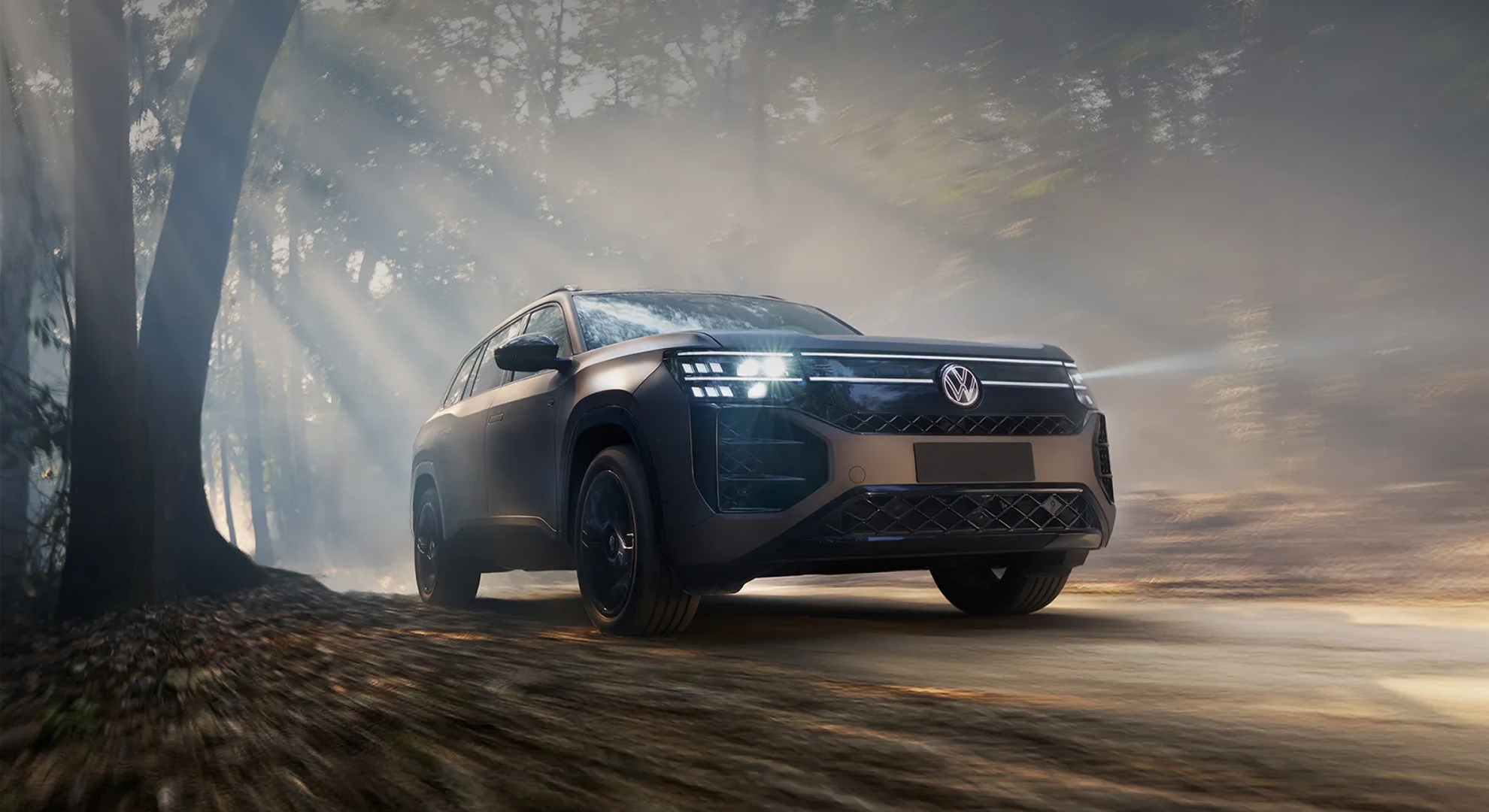 lưới tản nhiệt teramont